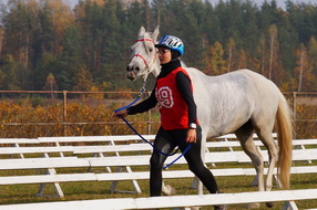 Mistrzostwa Polski Seniorów Geniusze 2014