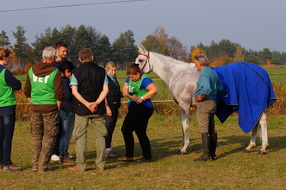 Mistrzostwa Polski Seniorów Geniusze 2014