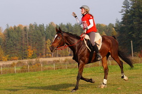 Mistrzostwa Polski Seniorów Geniusze 2014