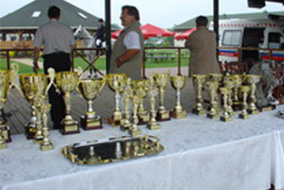 Ranking zawodników 2008