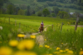 Mszana Górna 17.05.2015